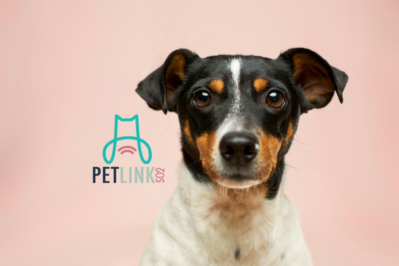 PetLink GT